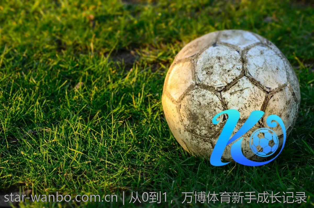 从0到1，万博体育新手成长记录